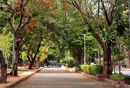 Campus
